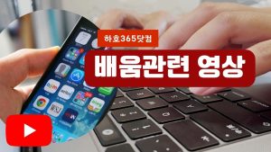 배움관련영상